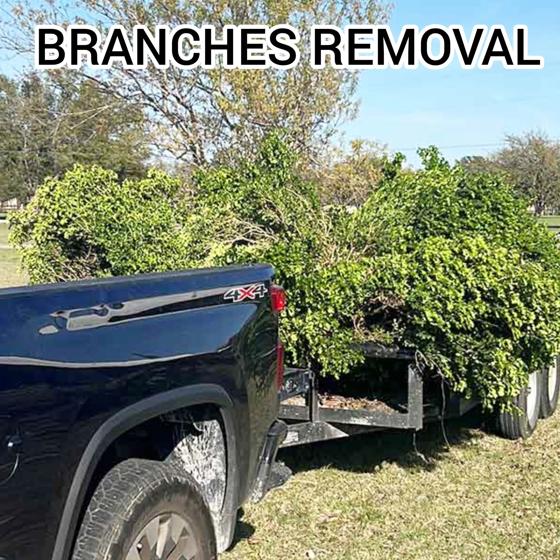 Branches and yard waste removal Baltimore